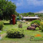 975011670dd80218c1d6424be8221a06be38d0a50a7f4d49d7c6d56e38d1